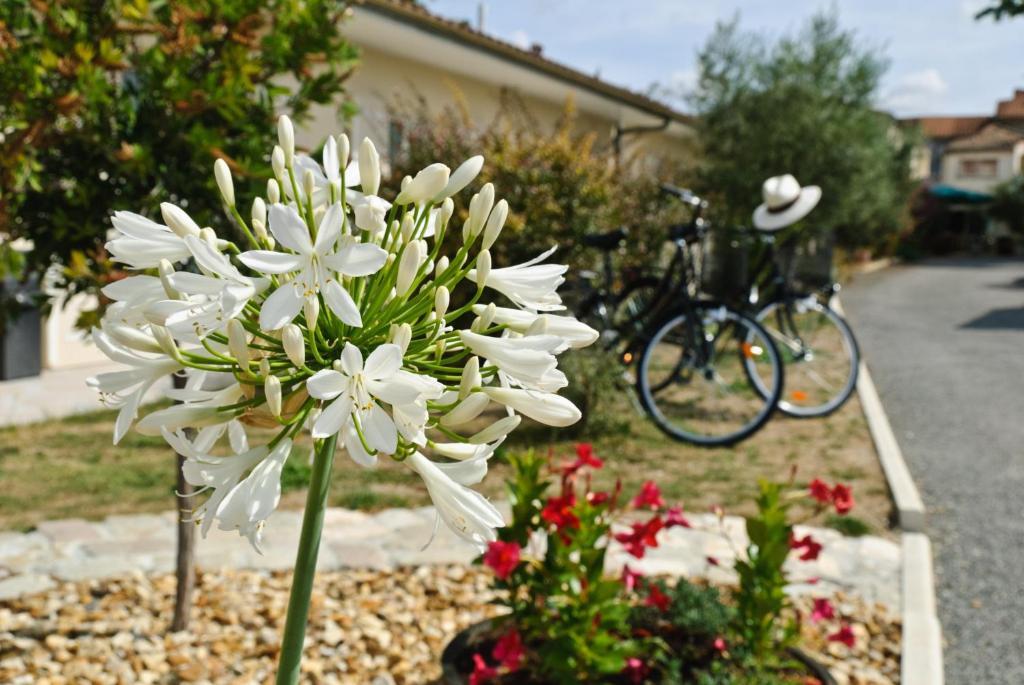 Logis Hotel L'Oliveraie Коньяк Экстерьер фото